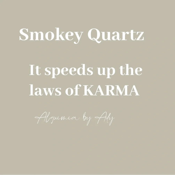 Alquimia Silver and Brown Earrings - Picture 3 of 4